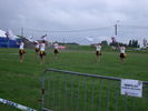 Regionaal sportfeest (Westjuweel)